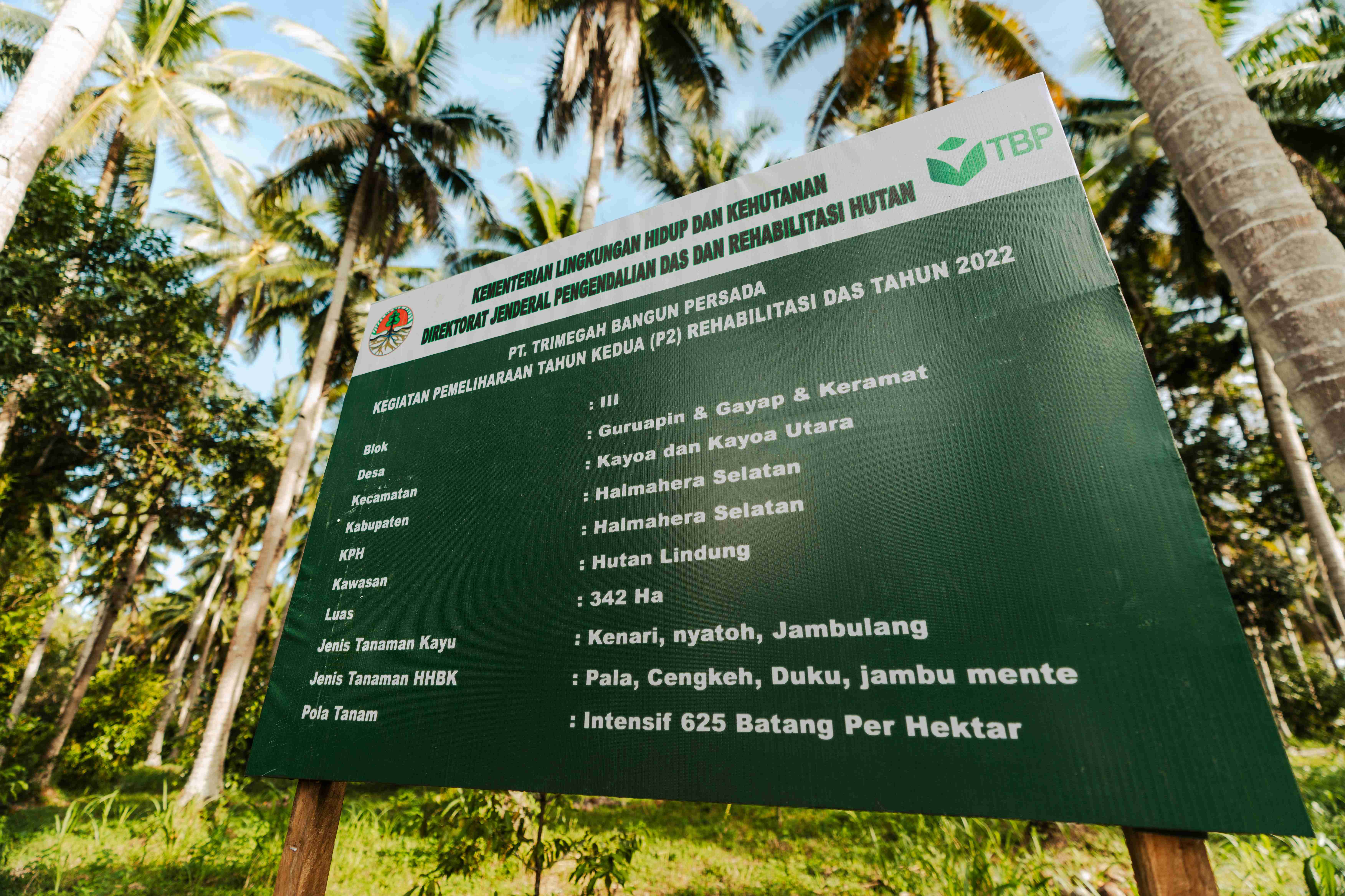 Rehab das kayoa lauin harita nickel 37 11zon